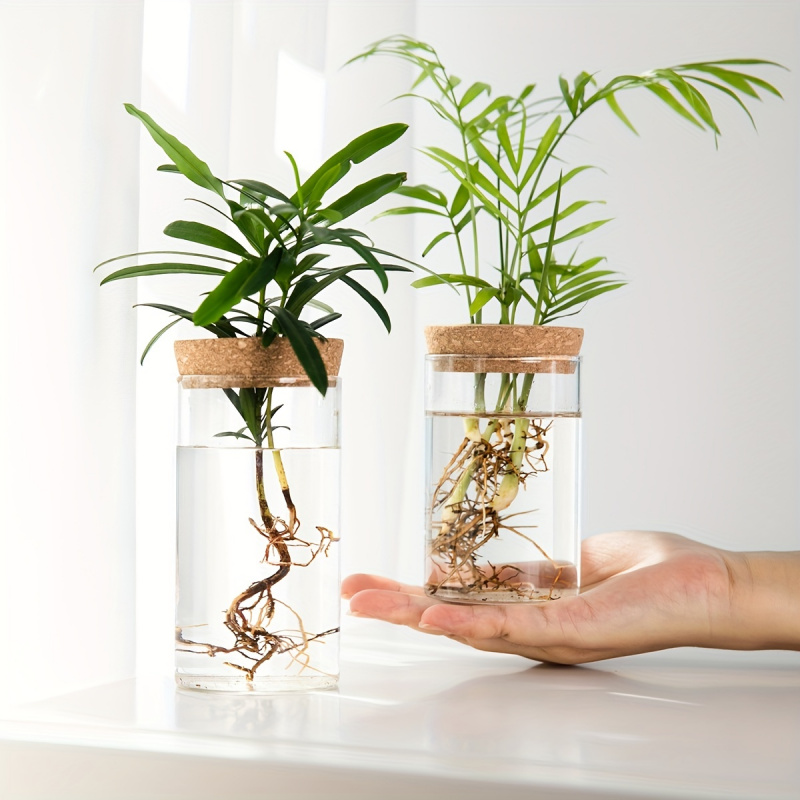 Plant Growth Regulator - 1ชิ้น, ไฮโดรโปนิกส์พืชแจกันปลูกต้นไม้แก้วตั้งโต๊ะสำหรับตกแต่งบ้าน, แจกันปลูกต้นไม้สำหรับปลูกต้นไม้, ไฮโดรโปนิกส์ตั้งโต๊ะ