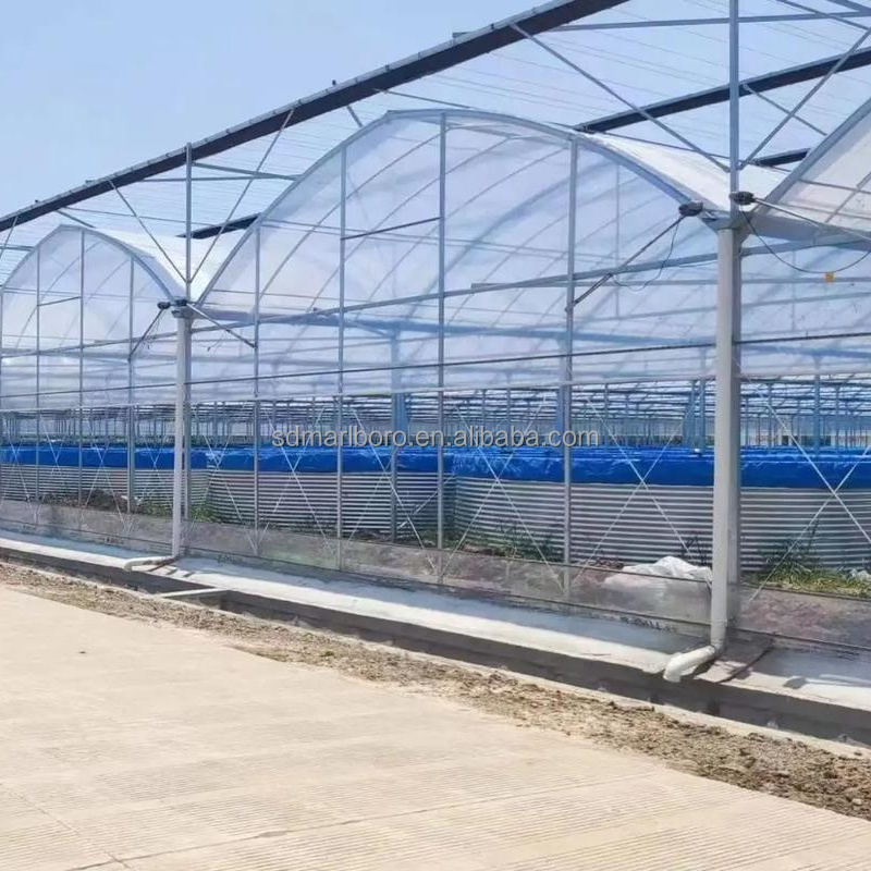 แผ่นรองบ่อปลาพลาสติกขนาดใหญ่ A - Farm Pond Liner บทวิจารณ์และราคา
