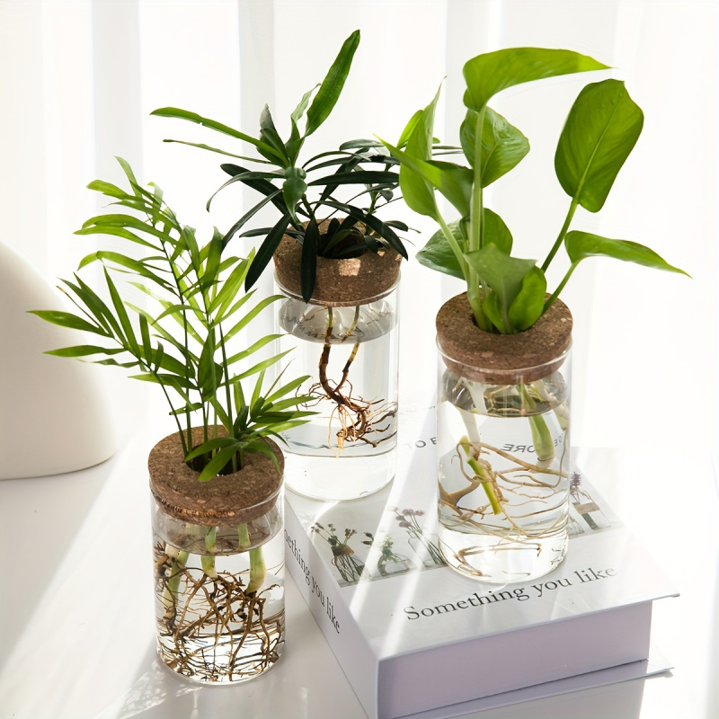 1ชิ้น, ไฮโดรโปนิกส์พืชแจกันปลู - Plant Growth Regulator บทวิจารณ์และราคา