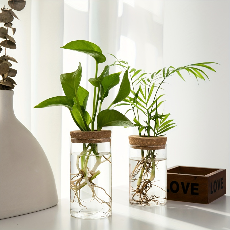 1ชิ้น, ไฮโดรโปนิกส์พืชแจกันปลู - Plant Growth Regulator บทวิจารณ์และราคา
