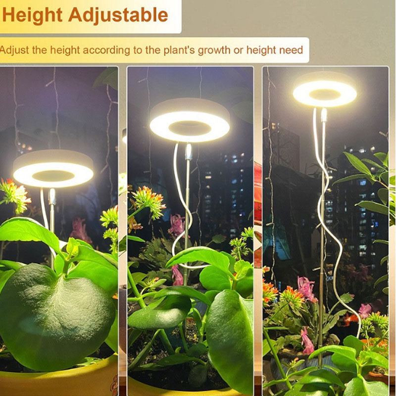 LED Grow Light Full Spectrum P - Plant Growth Regulator บทวิจารณ์และราคา