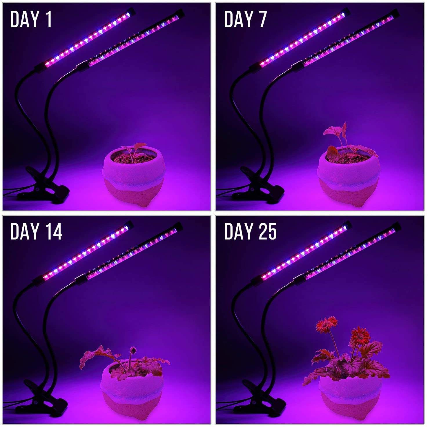 USB LED Plant Grow Light สวนใน - Plant Growth Regulator บทวิจารณ์และราคา