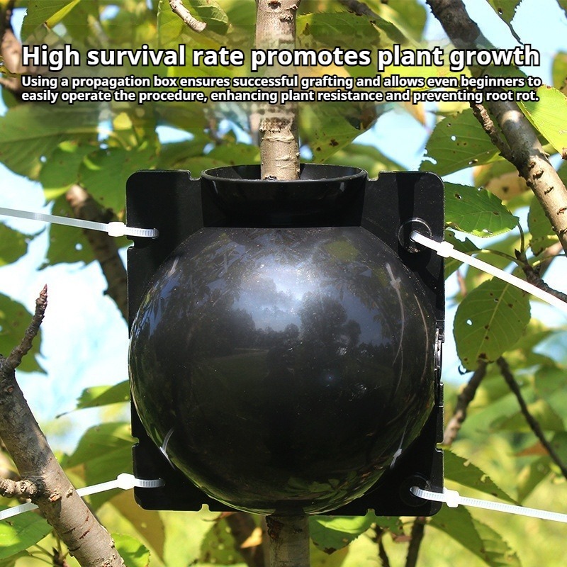 ชุดอุปกรณ์ขยายพันธุ์พืช 10 ชิ้ - Plant Growth Regulator บทวิจารณ์และราคา