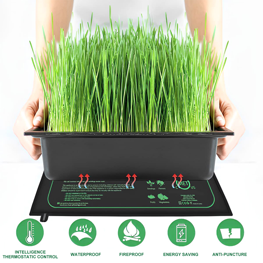 10/25/50 ซม.ต้นกล้าความร้อนในร - Plant Growth Regulator บทวิจารณ์และราคา