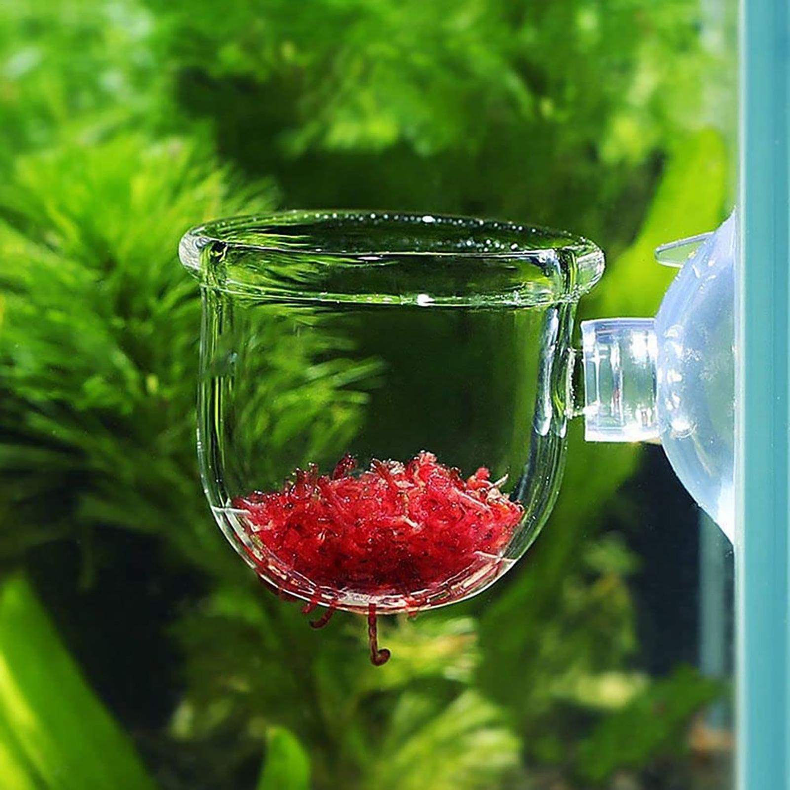 กระถางปลูกพืชน้ำอะคริลิกใสพร้อ - Plant Growth Regulator บทวิจารณ์และราคา