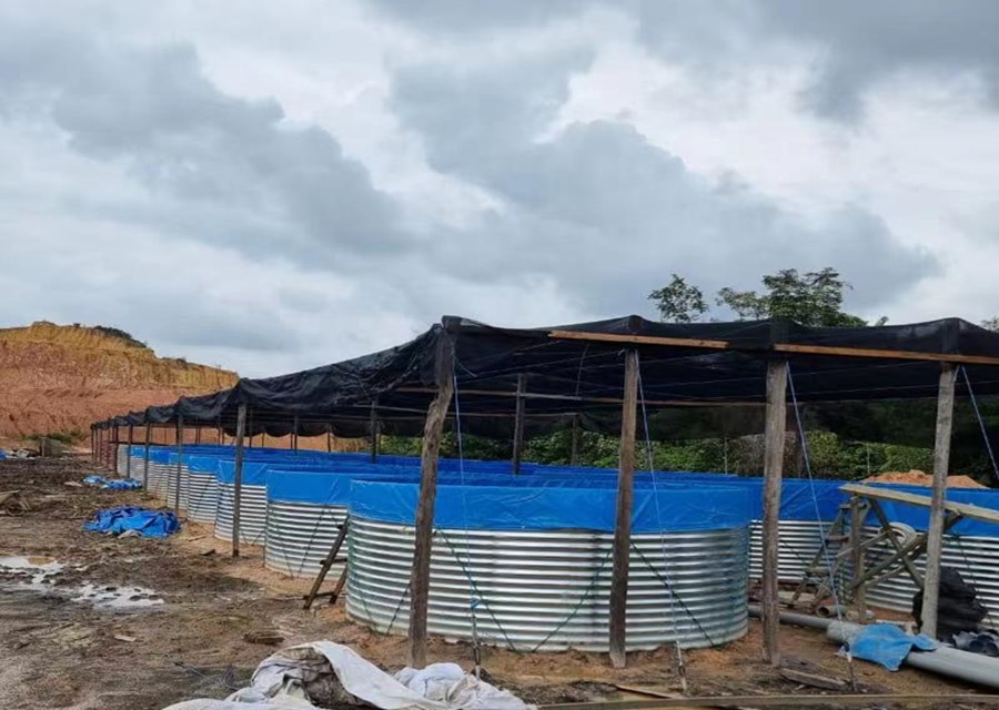 แผ่นรองบ่อปลา AIROW SDM ผลิตจา - Farm Pond Liner บทวิจารณ์และราคา