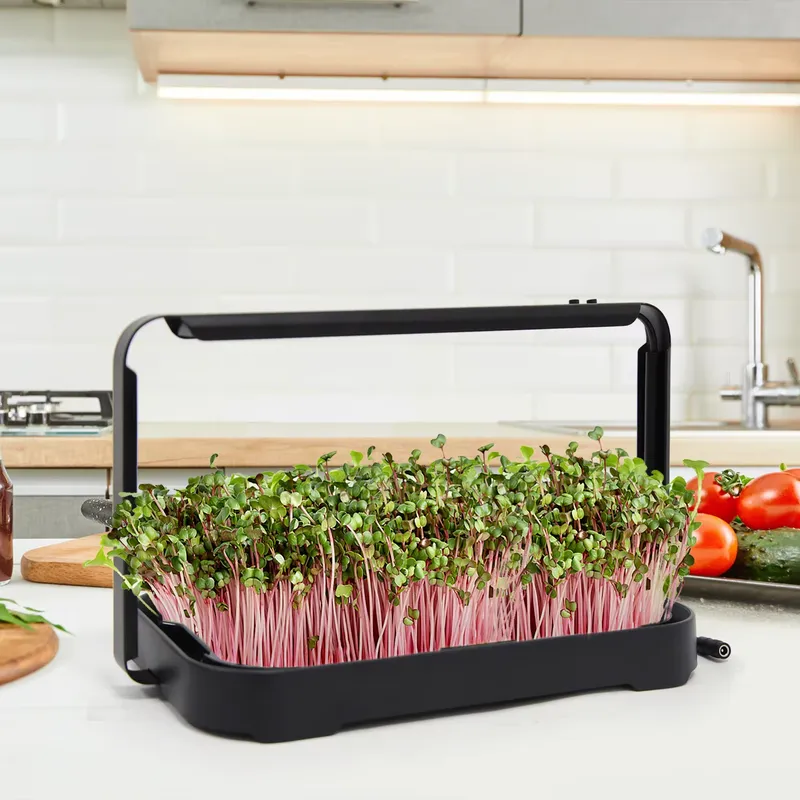 ถาดปลูกผักไฮโดรโพนิกสำหรับปลูก - Seed Planter บทวิจารณ์และราคา