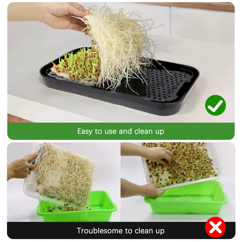 ถาดปลูกผักไฮโดรโพนิกสำหรับปลูก - Seed Planter บทวิจารณ์และราคา