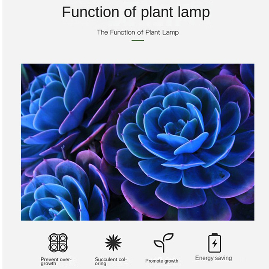 PwwQmm LED Plant Grow โคมไฟ US - Plant Growth Regulator บทวิจารณ์และราคา